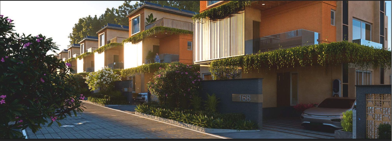 WhatsApp Image 2026-02-25 at 12.22.20 PM